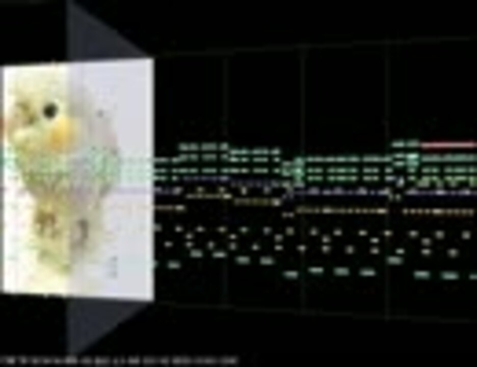 ヴァンダレイシウバ 入場曲 ニコニコ動画