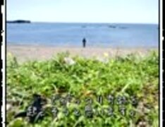 聖人ぶって海割りに挑戦してみた