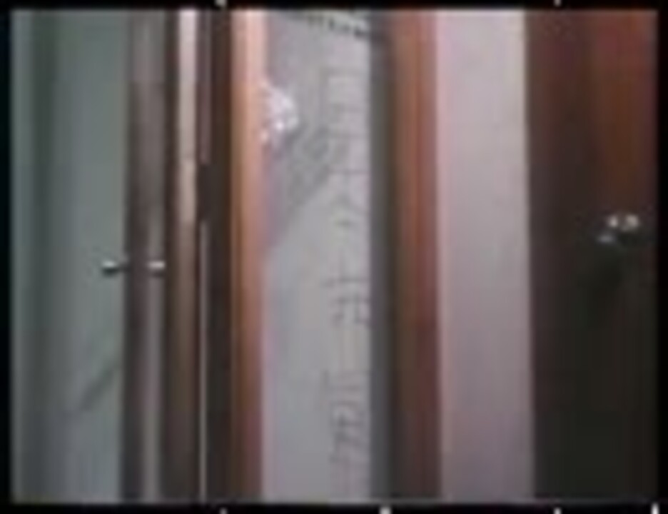 連合赤軍 ニコニコ動画