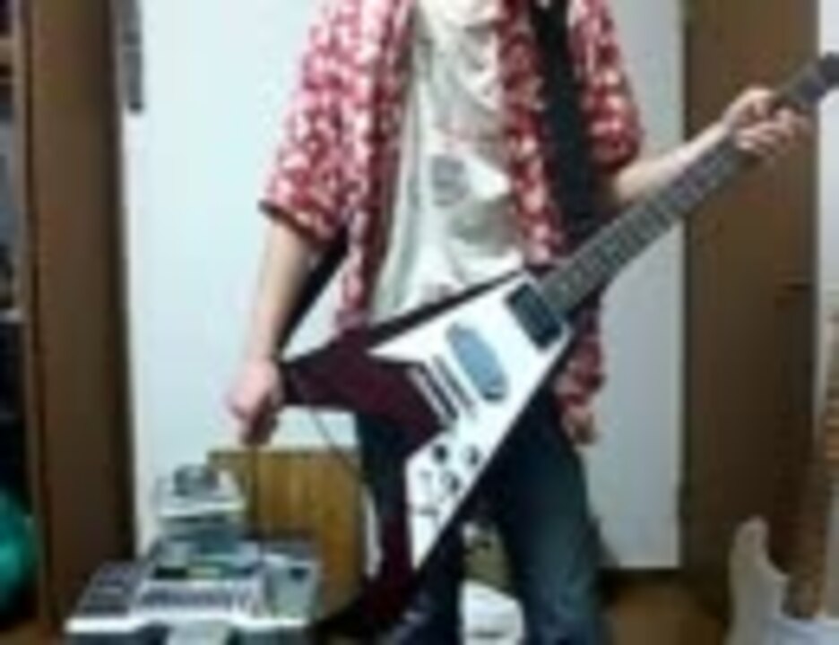 人気の 野生のはやぴ 動画 5本 ニコニコ動画