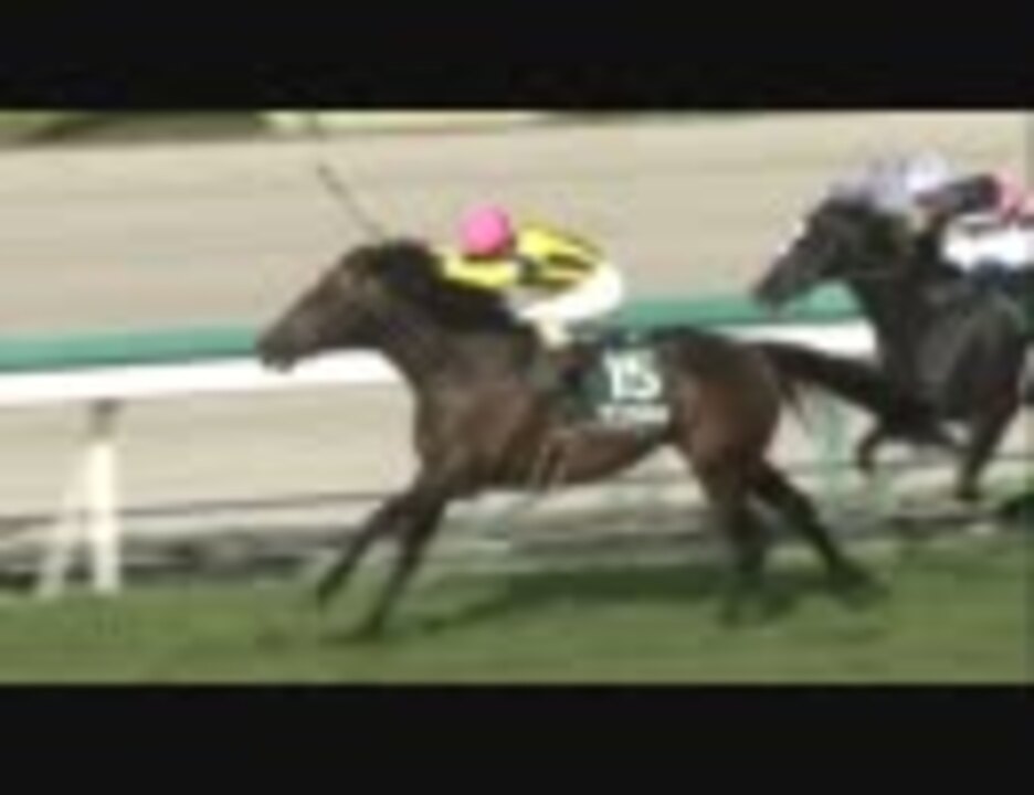 人気の 阪神競馬場 動画 252本 7 ニコニコ動画