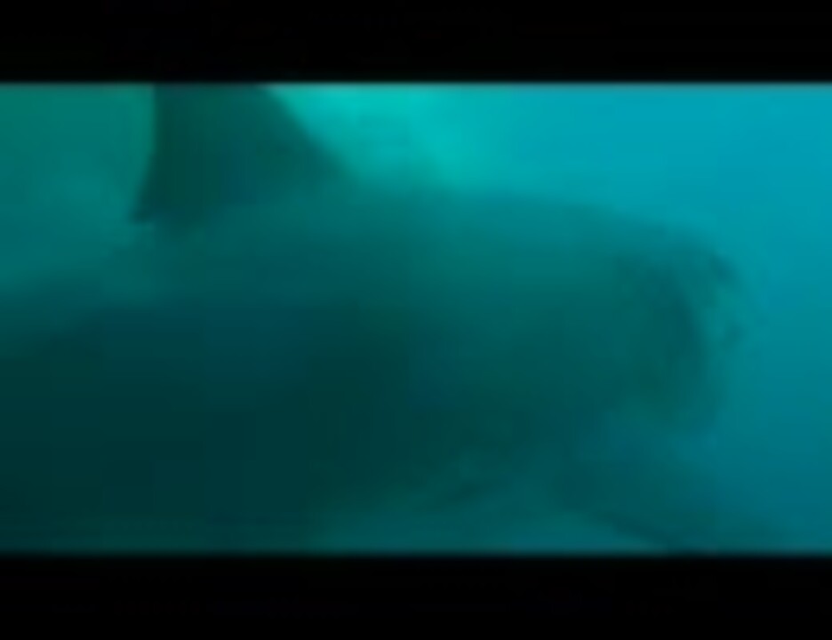 巨大ザメ メガロドン ニコニコ動画