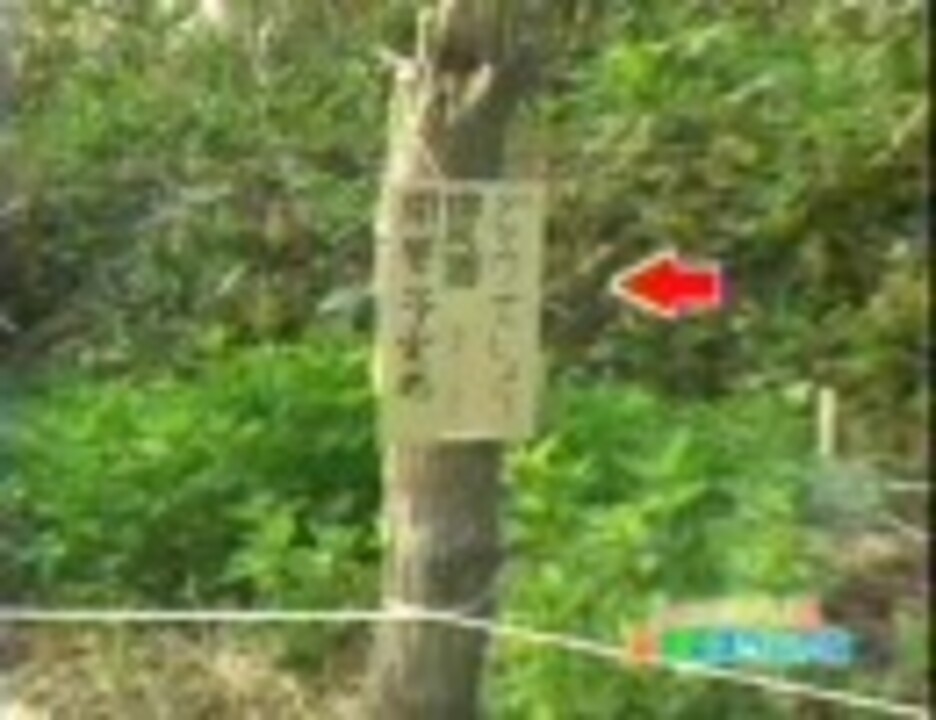 129 シェフ大泉 夏野菜スペシャル 第1夜 ニコニコ動画