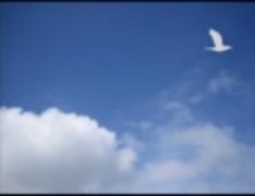 【全部凡】「未来の歌」アカペラアレンジで歌ってみた
