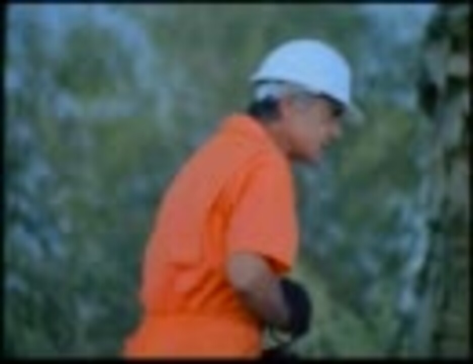 CHiPs EP8「Green Thumb Burglar」(2/2) ニコニコ