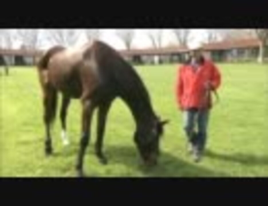 ルドルフの背　岡部幸雄　シンボリルドルフ　池田書店 競馬ファン必読本 三冠馬シンボリルドルフ「ルドルフの背 岡部