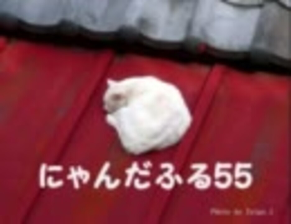 ギタドラ 忙しい人の為のにゃんだふる55 Dormir ポップン ニコニコ動画