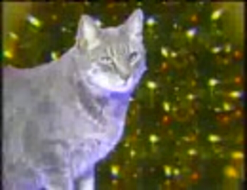 ネコの鳴き声でクリスマスソング ニコニコ動画