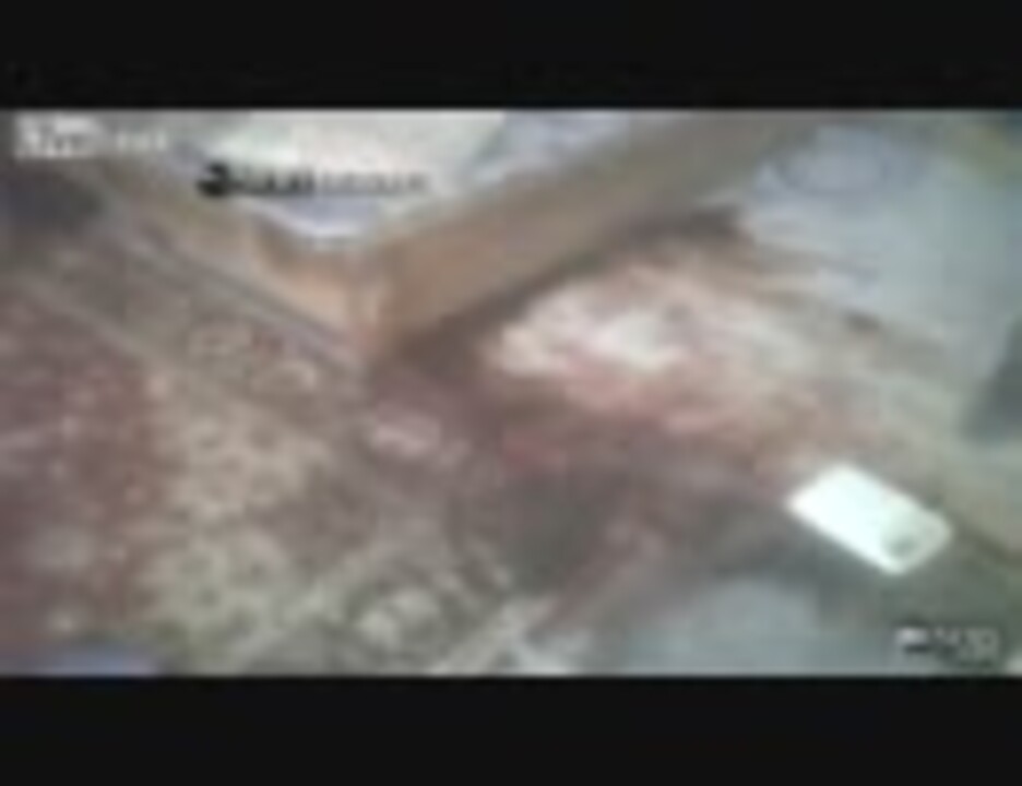 オサマ ビンラディン殺害現場の映像 ニコニコ動画