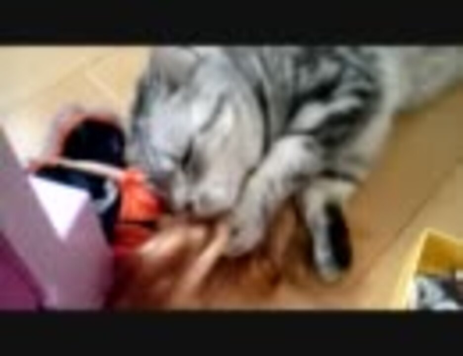 人気の 猫 Or ねこ Or ネコ Or ぬこ Or にゃんこ 動画 30 810本 19 ニコニコ動画