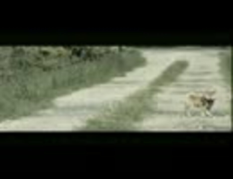 映画『幼獣マメシバ』 予告編 - ニコニコ動画