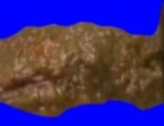 カレーＢＢ