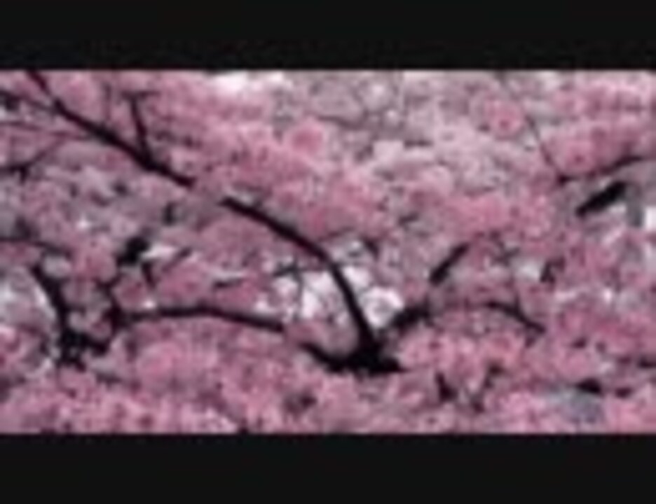 Ova 最遊記 外伝 Op 桜の樹の下 Kokia 歌詞付 ニコニコ動画