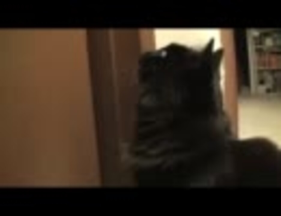 人気の しゃべるねこシリーズ 動画 170本 2 ニコニコ動画