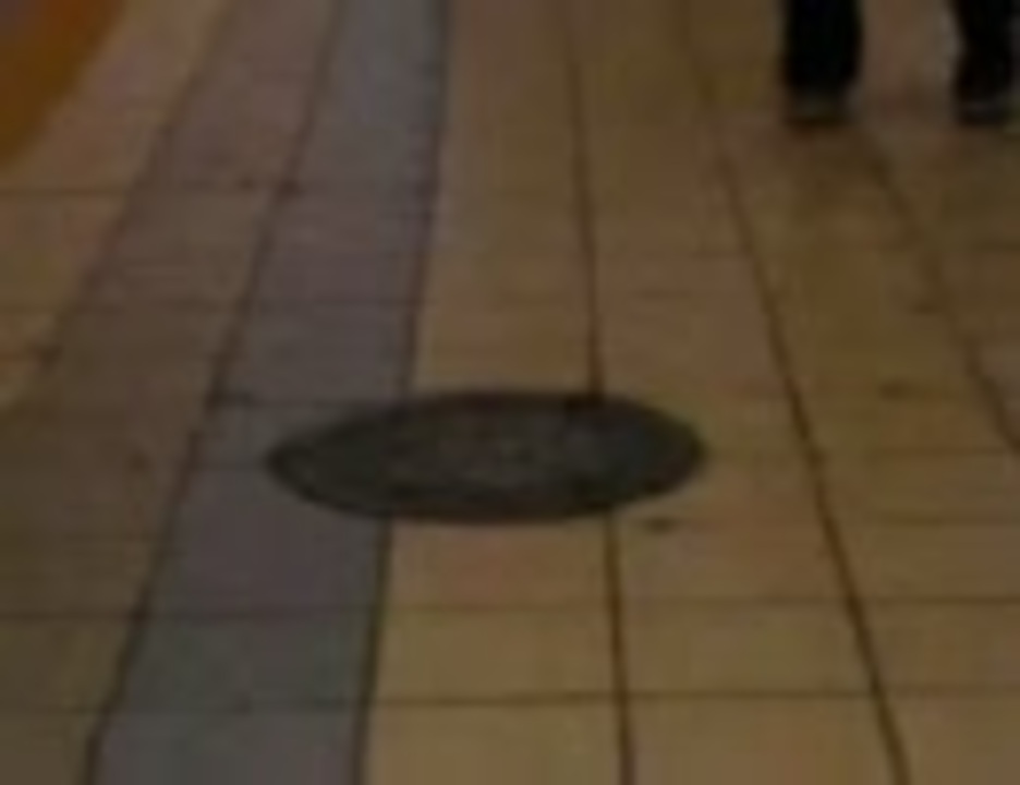 京橋駅のゴキブリの大群 ニコニコ動画