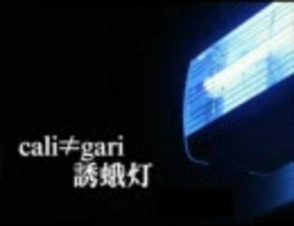 cali≠gari　誘蛾灯　秀仁ver.