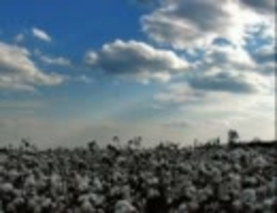 The New Christy Minstrels Cotton Fields ニコニコ動画