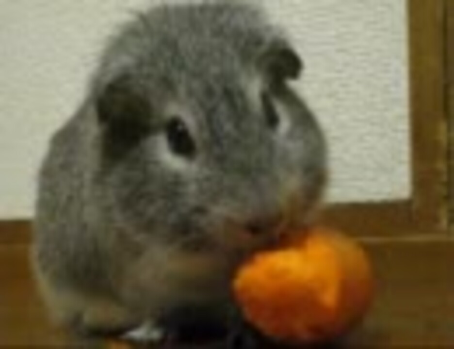 人気の もるもっと 動画 650本 15 ニコニコ動画