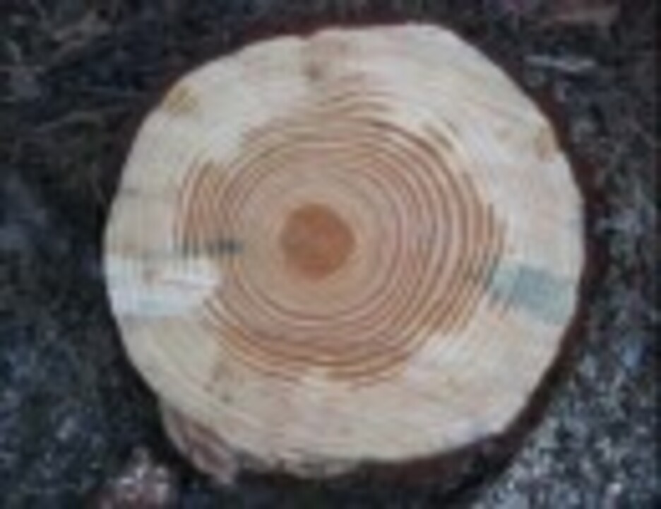 人気の フジファブリック バウムクーヘン 動画 11本 ニコニコ動画