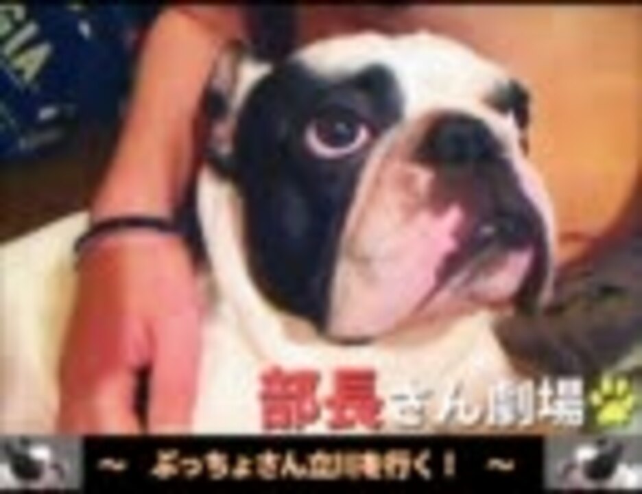 人気の ｳﾅちゃんマン 動画 3 338本 34 ニコニコ動画