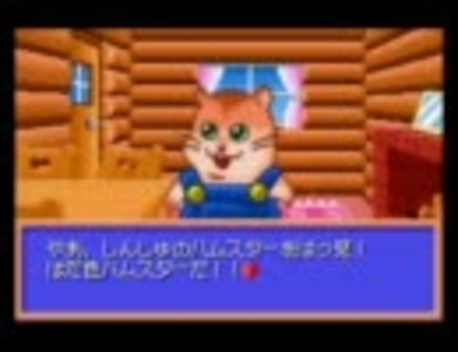 Amazon.com: ハムスターパラダイスあどばんちゅ : Everything Else
