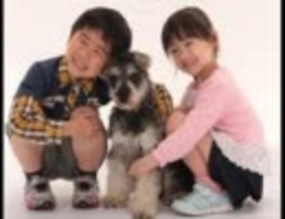 人気の マル マル モリ モリ 動画 225本 6 ニコニコ動画