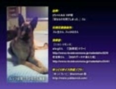 【ゆっくり怪談】変なものを見てしまった。