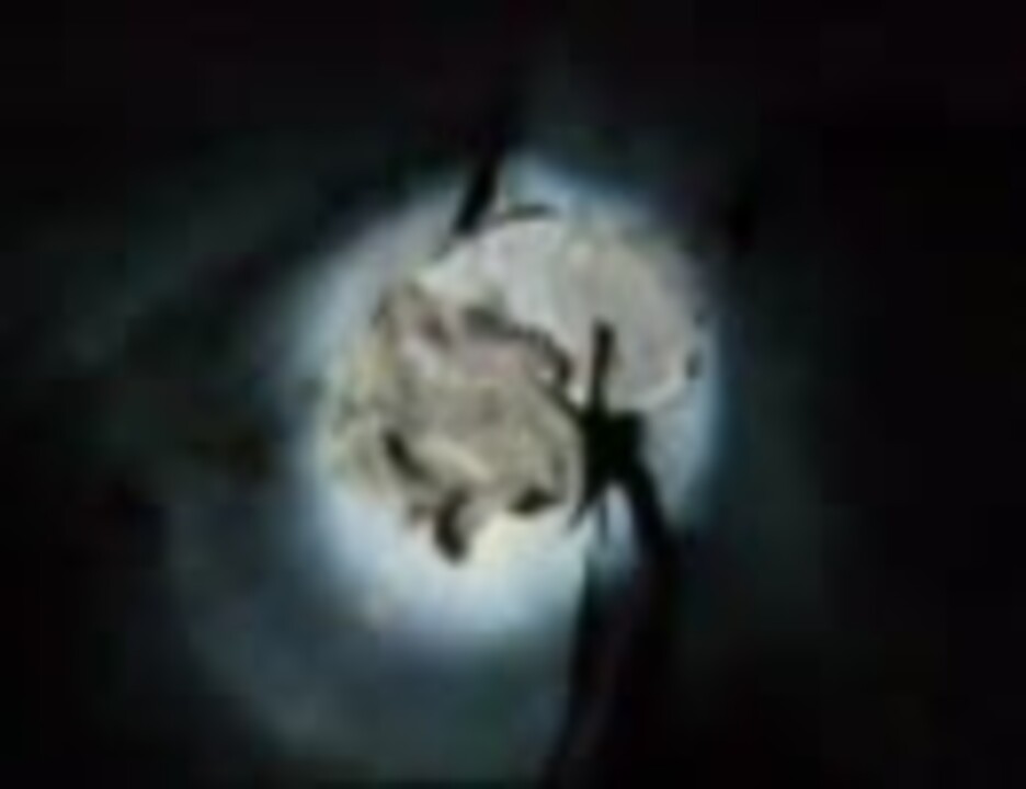 衝撃映像 アメリカのワサッチ山脈に実在したドラゴンの映像 ニコニコ動画