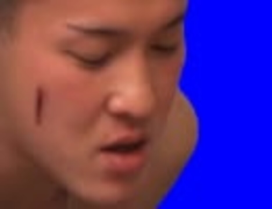 人気の Tnok 動画 10本 ニコニコ動画