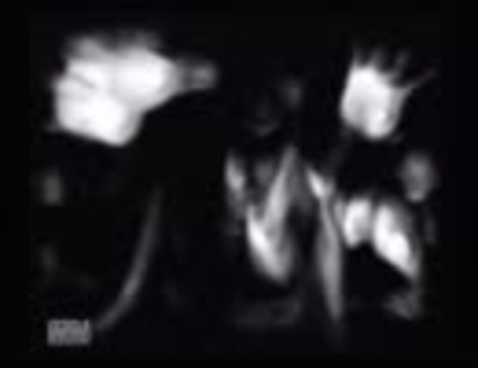 人気の もりのようかん 動画 38本 2 ニコニコ動画