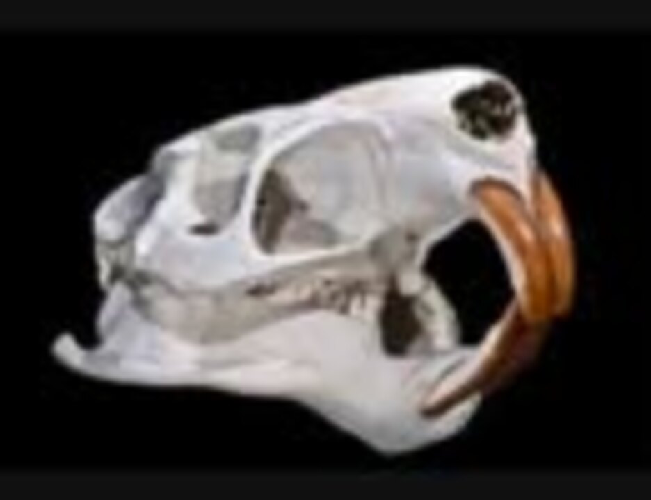 人気の 探してたあの曲 鉄腕dash 動画 10本 ニコニコ動画