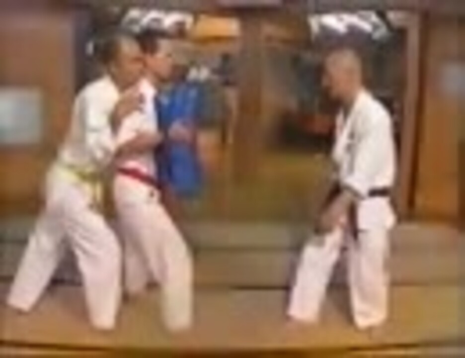 人気の 格闘技 武道 動画 261本 ニコニコ動画