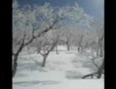 忙しい人のための『粉雪』