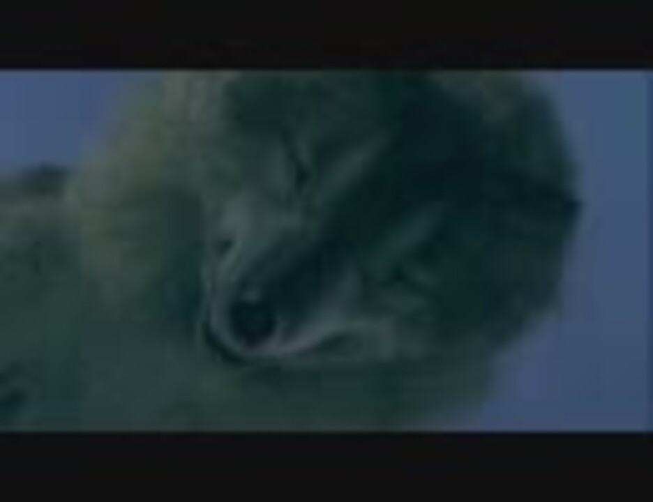 人気の 白猫アルヴィナ 動画 3本 ニコニコ動画