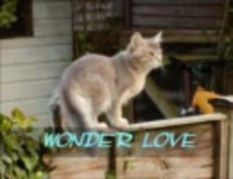 人気の 音楽 男性声優 動画 810本 ニコニコ動画