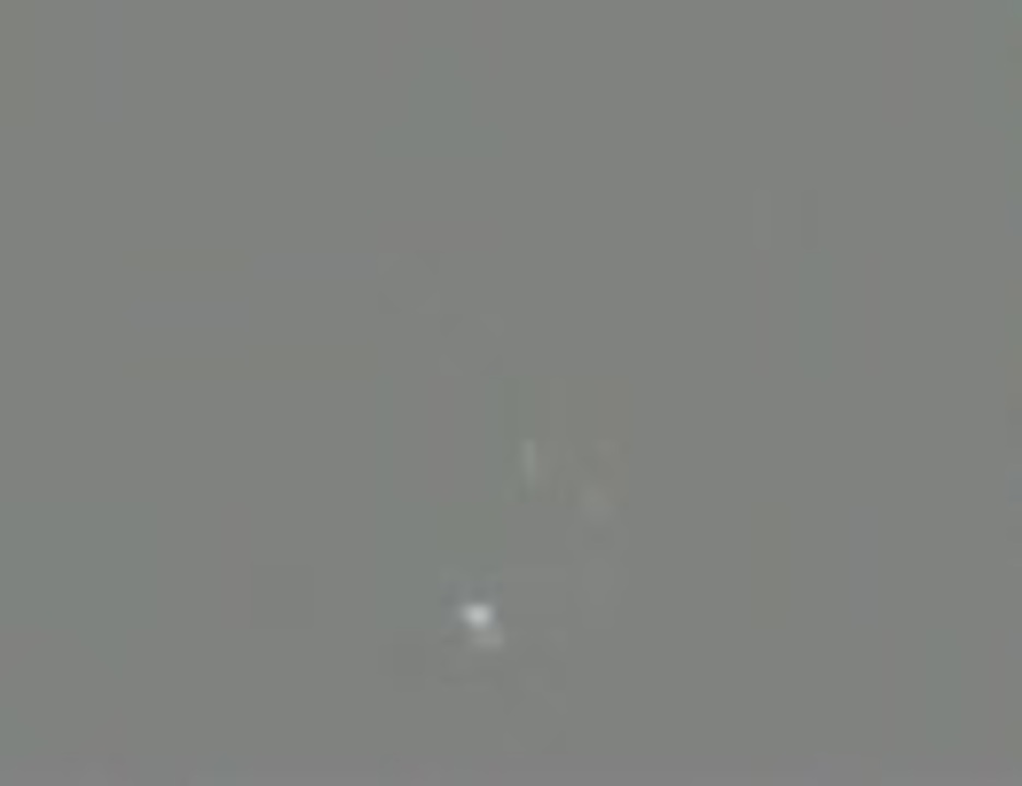 人気の ぬいぐるみ 動画 935本 3 ニコニコ動画