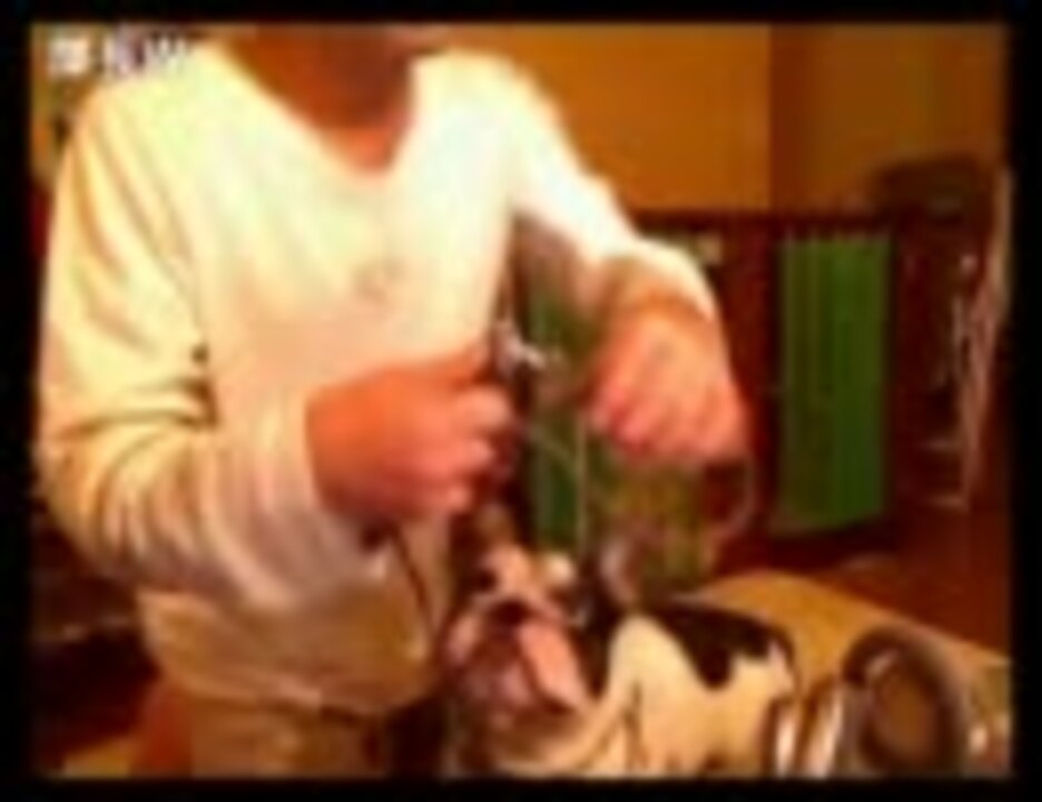 ウナちゃんマン 部長をぬか喜びさせる ニコニコ動画