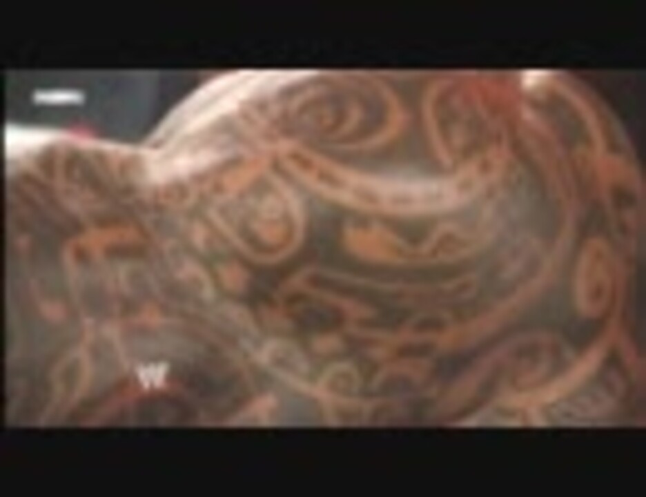 Wwe ロック様の演説 日本語字幕版 サバイバーシリーズ ニコニコ動画