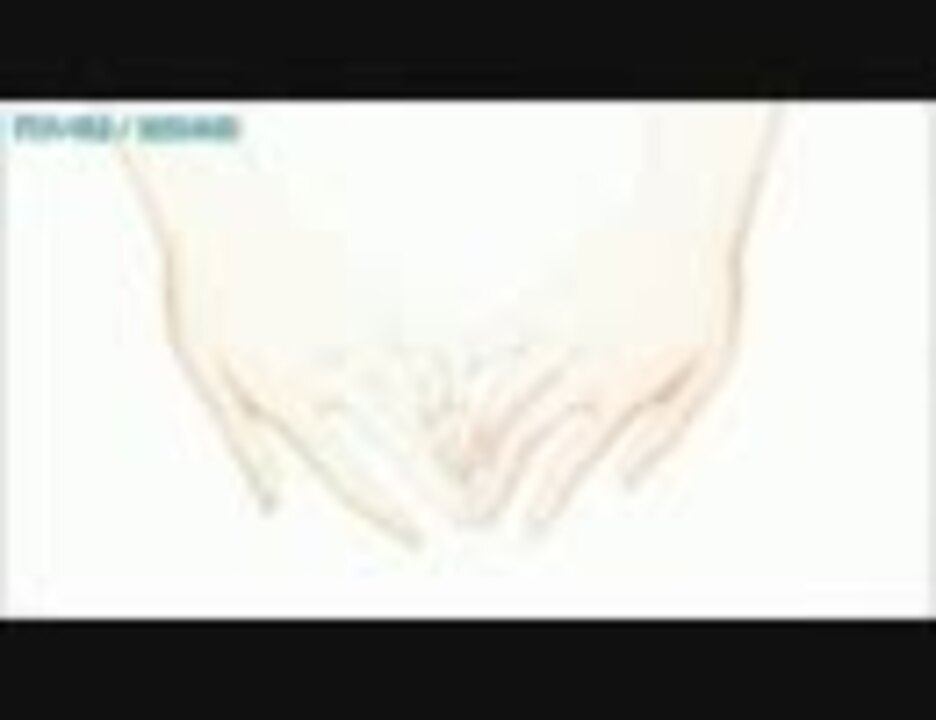 ニコカラ 青い花 空気公団 青い花 Opテーマ ニコニコ動画