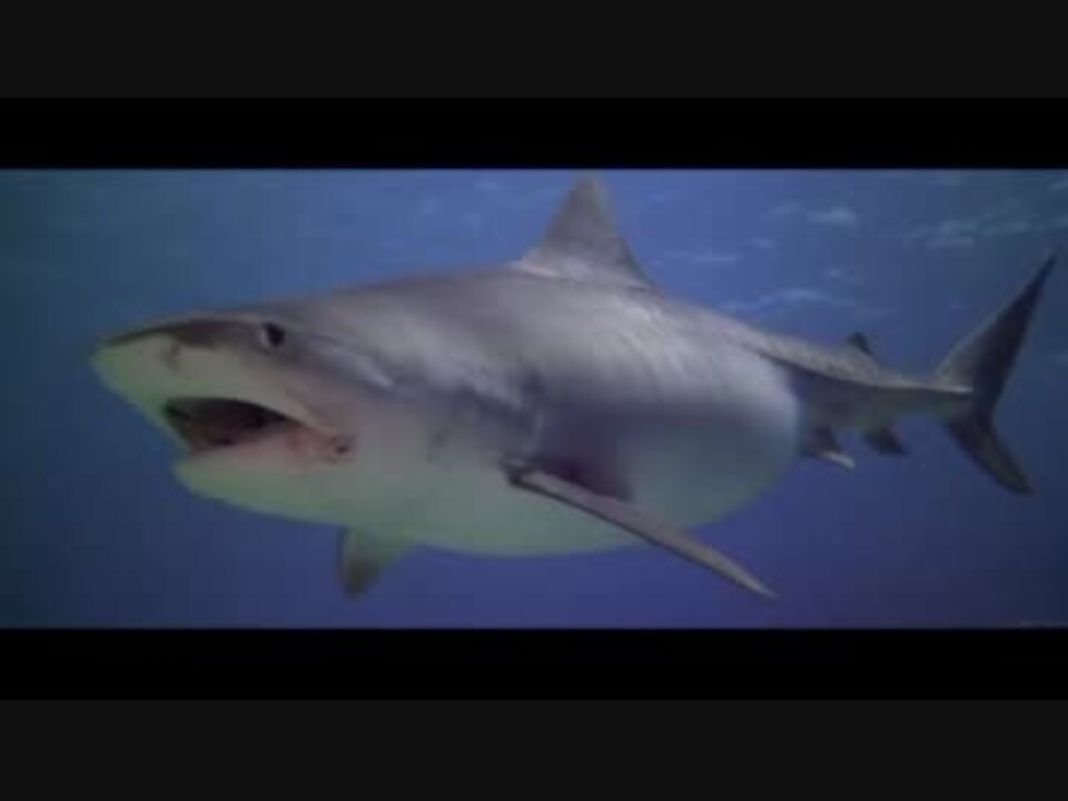 サンゲリア ゾンビvsサメ ニコニコ動画