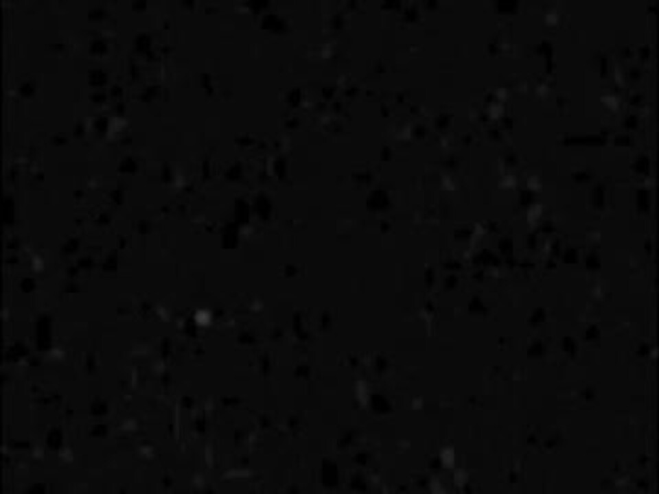 人気の Hiphop 動画 2 223本 28 ニコニコ動画