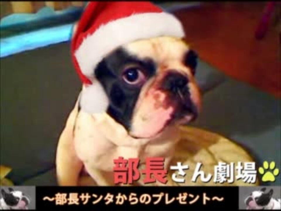 ユニークウナちゃんマン 犬 死亡