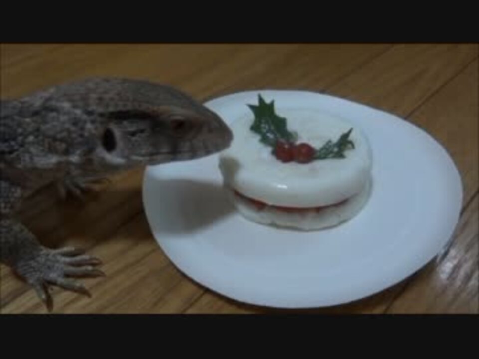 人気の 爬虫類 Av アニマルビデオ 動画 349本 11 ニコニコ動画