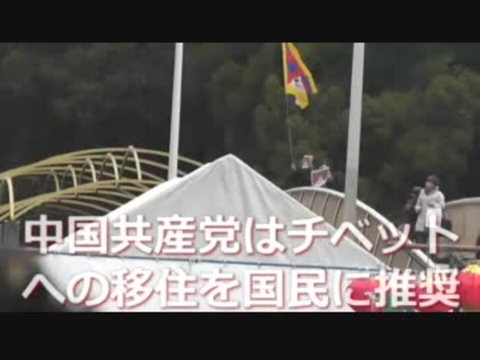 珍百景　チベットと中国共産党・春節祭コラボ