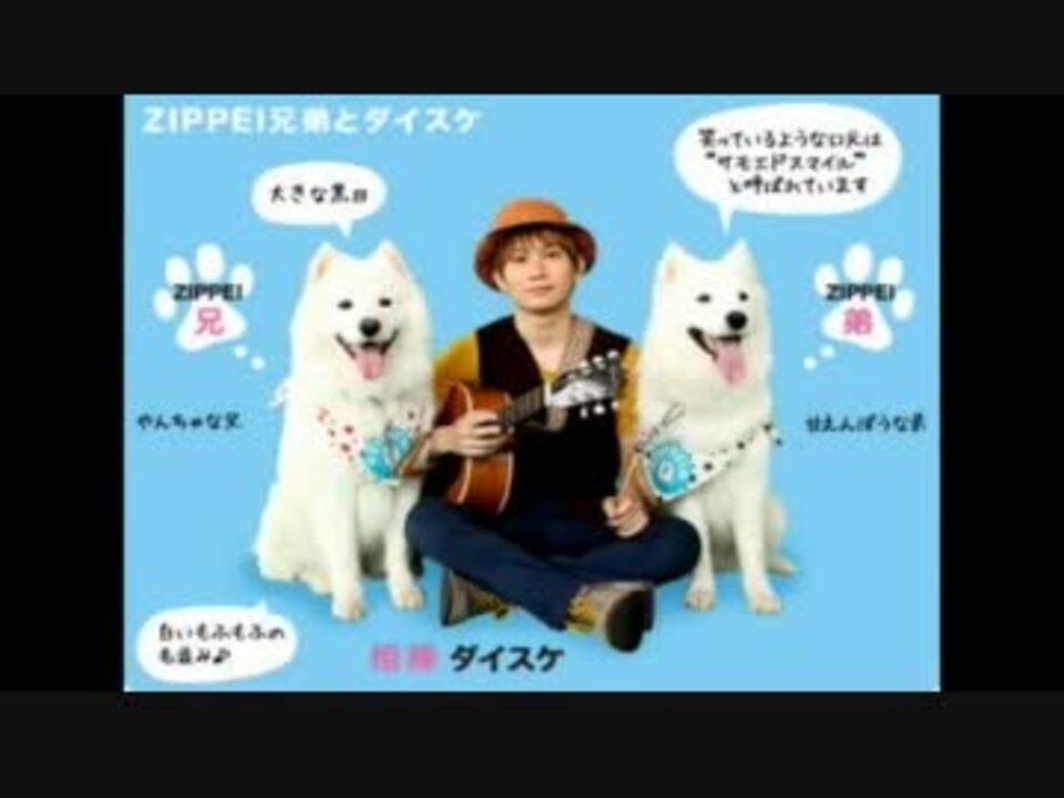 日テレ ｚｉｐ 放送打ち切りへ 犬虐待と朝日新聞 ニコニコ動画