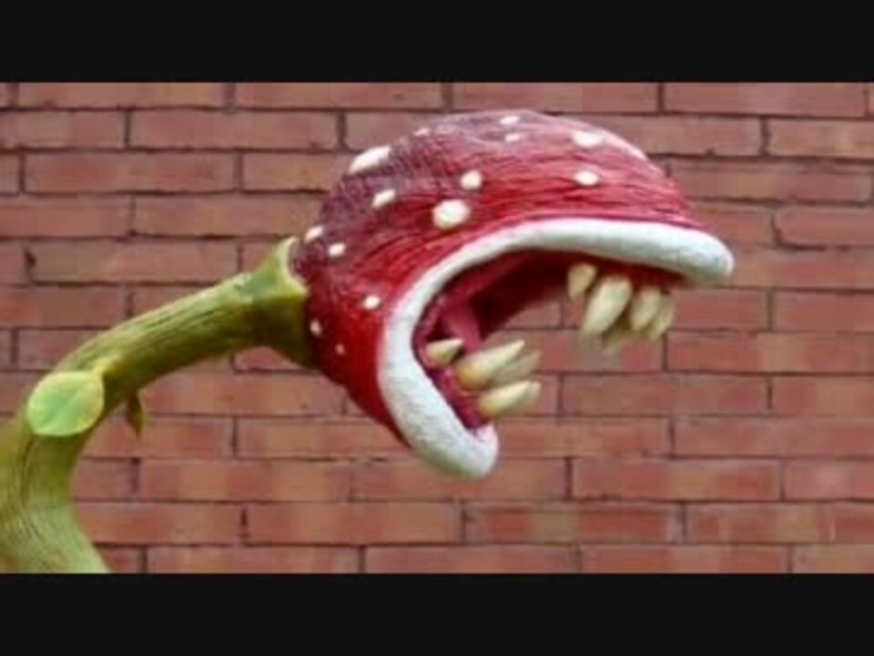 パックンフラワーの衝撃映像 ニコニコ動画