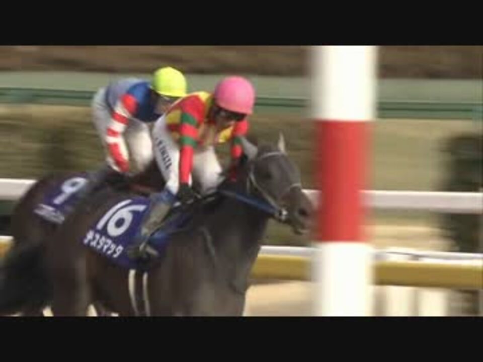 競馬】 2012 フェブラリーステークス テスタマッタ 【全部盛り