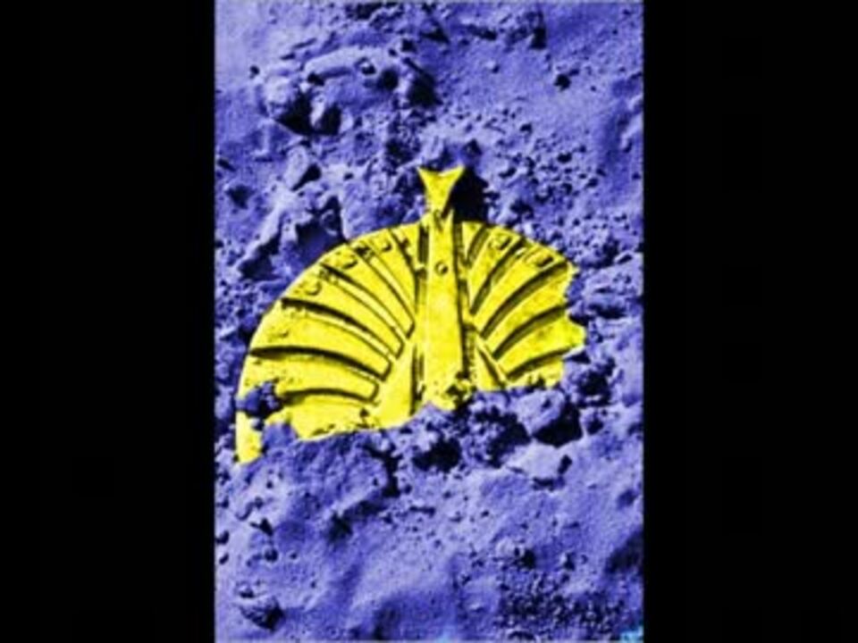 人気の 21世紀宇宙の子 動画 10本 ニコニコ動画