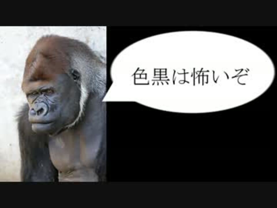 人気の ゴリら 動画 873本 24 ニコニコ動画