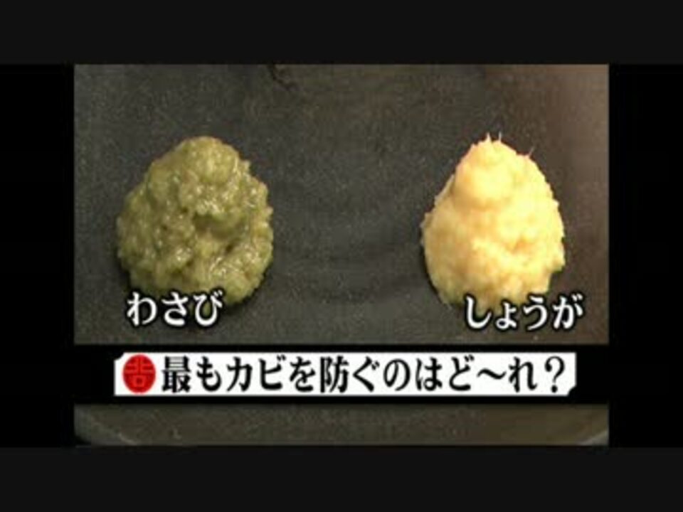 和風総本家で使われたbgm ニコニコ動画